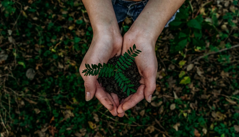 Smart Afforestation & Carbon Compliance